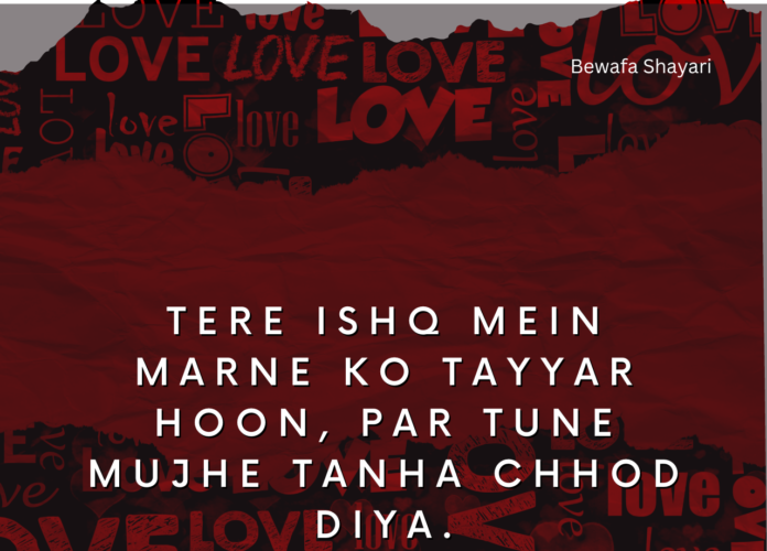 love shayari in Hindi for girlfriend
