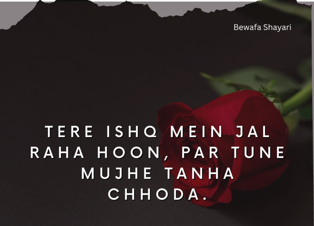 New Love Shayari in Hindi for your girlfriend