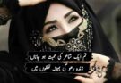 100+ Love Poetry In Urdu – 2 Lines Text