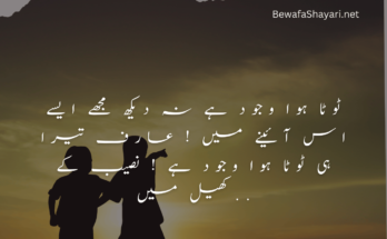 Attitude Shayari in Urdu for Boys